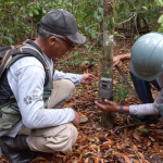 Rio CAUTARIO – resex-estadual-monitoramento