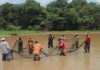 Resgate de alevinos de Pirarucu na Resex Lago do Cunião. Foto Herlan Lopes/Secom